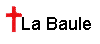 VOIR